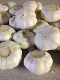 GARLIC WHOLE  1 EACH