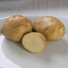 POTATO KENNEBEC LBS