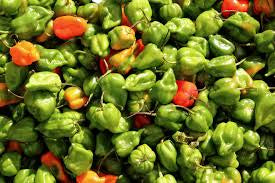 PEPPERS HABANERO MEX FRESH 10LBS