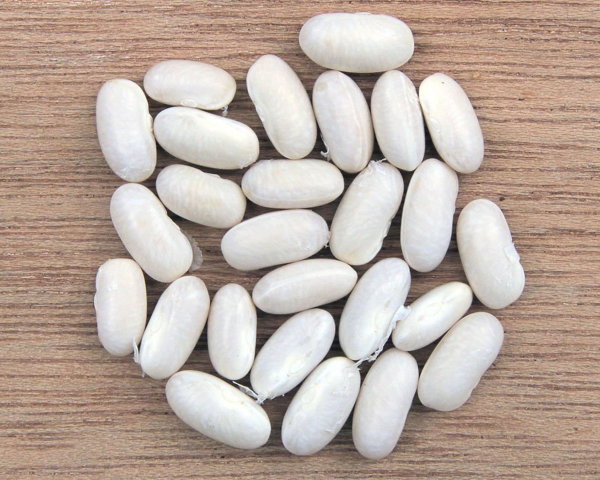 NAVY WHITE BEANS