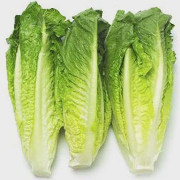 ROMAINE HEARTS FRESH 3'S